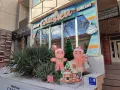 Миниатюра 4