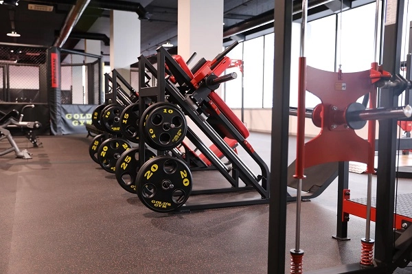 Спортивный зал в Ереване Gold's Gym в Ереване: Фитнес, Йога, Пилатес, Спиннинг, Стэп-аэробика, Тренажерный зал,