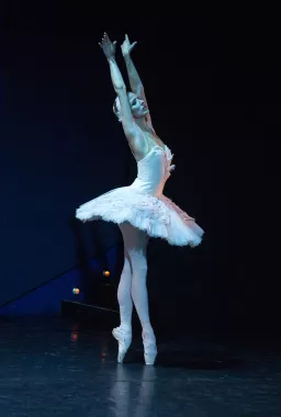 Русско-французская школа балета "Mon Ballet"