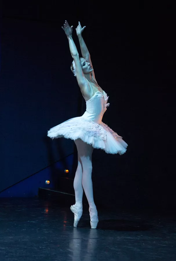 Русско-французская школа балета Mon Ballet в Сочи: Стретчинг, Для Детей И Взрослых, Постановка Танца, Хореография, Живая музыка,