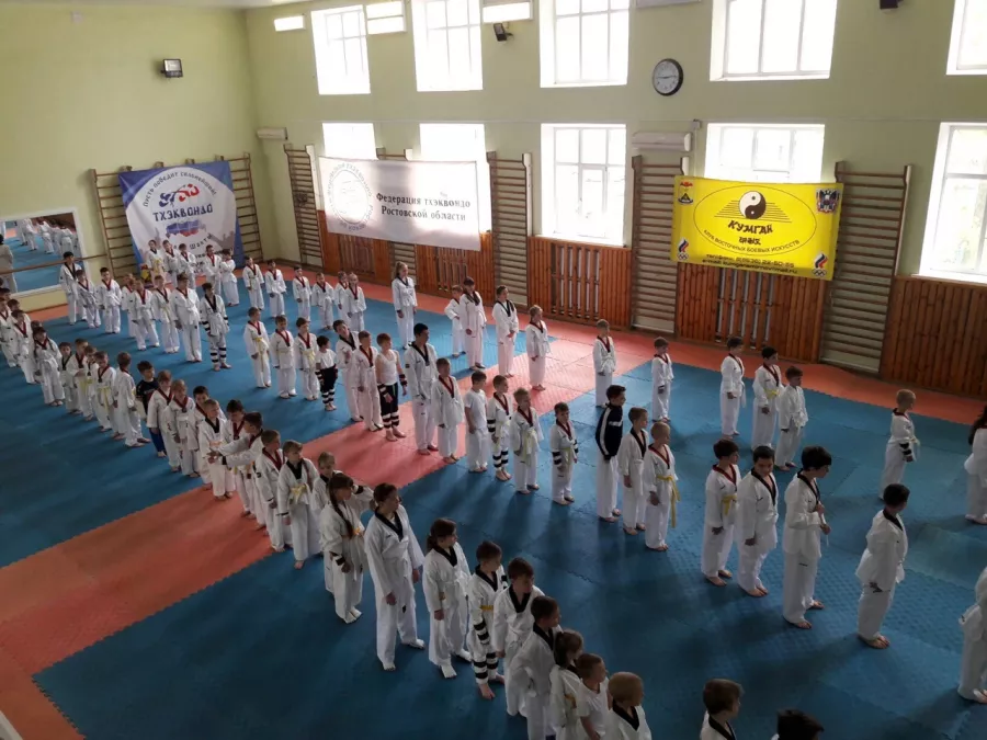 Спортивный комплекс Динамо спорт 161 на ул. Днепропетровская, 14 в Ростове-на-Дону: Тхэквондо, Развиваться, Боевые искусства,