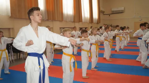 Федерация Киокушинкай Каратэ-до BRANCH Lee на ул. Платона Кляты, 27 в Ростове-на-Дону