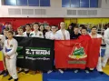 Миниатюра 6