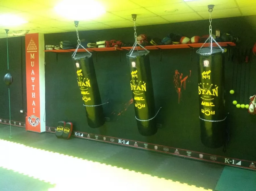 Профессиональная секция Stan Gym в Ростове-на-Дону: Ножевой бой, Тайский бокс, Развиваться,