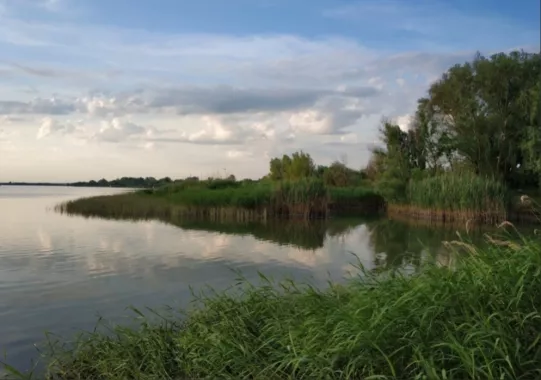 База отдыха "Дельта Дона".