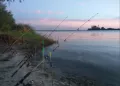 Миниатюра 11