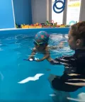 Миниатюра 13