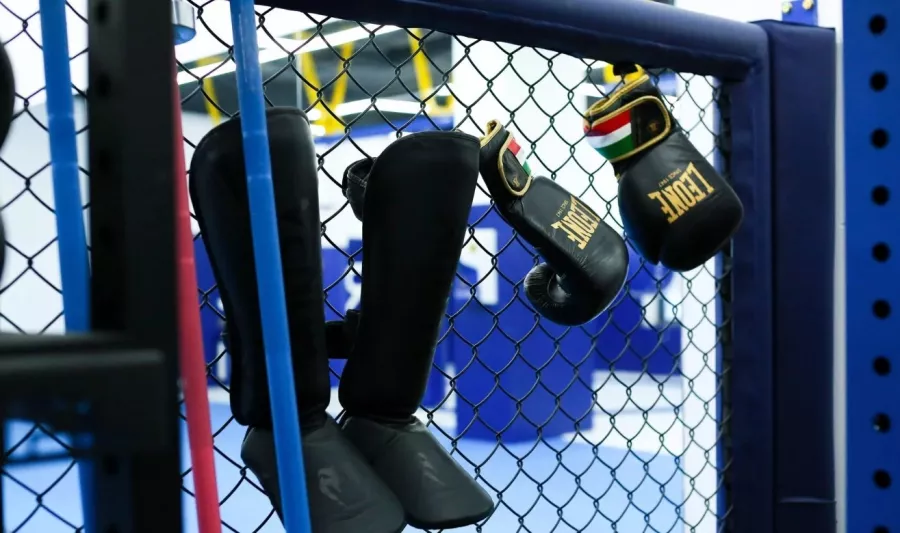 Клуб единоборств Brave Fight Gym в Видном: ММА, Каратэ, Бокс, Вольная Борьба, Кикбоксинг, Фитбокс, Грепплинг, Тайский бокс,