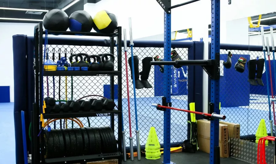 Клуб единоборств Brave Fight Gym в Видном: ММА, Каратэ, Бокс, Вольная Борьба, Кикбоксинг, Фитбокс, Грепплинг, Тайский бокс,