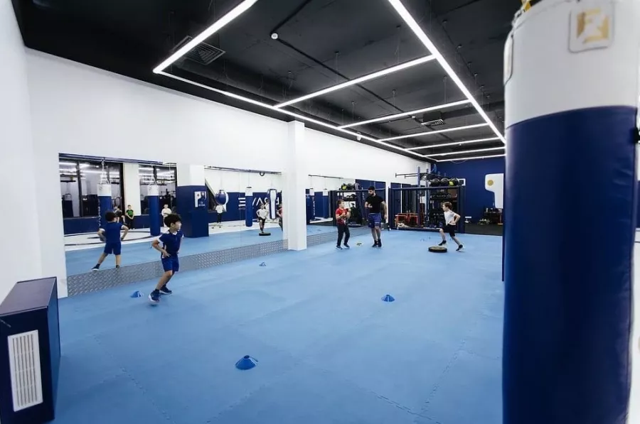 Клуб единоборств Brave Fight Gym в Видном: ММА, Каратэ, Бокс, Вольная Борьба, Кикбоксинг, Фитбокс, Грепплинг, Тайский бокс,