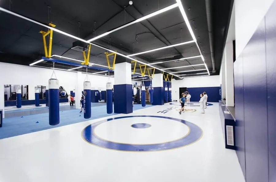 Клуб единоборств Brave Fight Gym в Видном: ММА, Каратэ, Бокс, Вольная Борьба, Кикбоксинг, Фитбокс, Грепплинг, Тайский бокс,