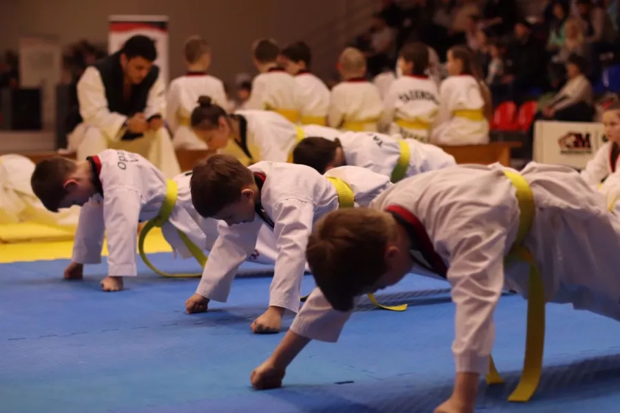 Спортивный клуб Грандмастерна ул. Варфоломеева в Ростове-на-Дону: Тхэквондо, Самооборона, Развиваться,
