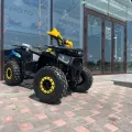 Миниатюра 7