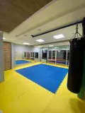 Миниатюра 5