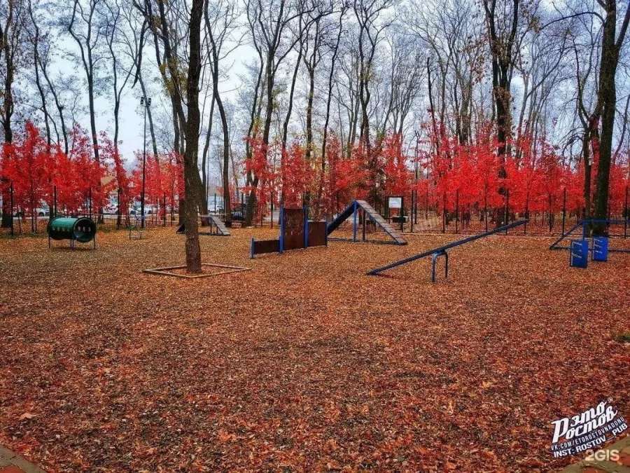 Осенний парк в Ростове-на-Дону: Парк,