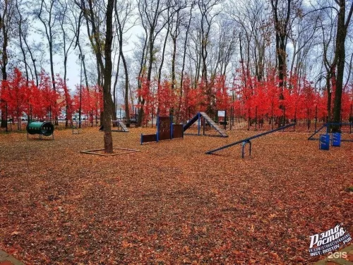 Осенний парк  в  Ростове-на-Дону