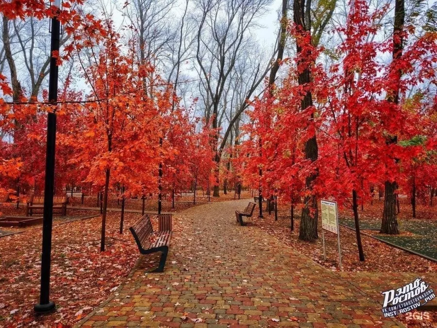 Осенний парк в Ростове-на-Дону: Парк,