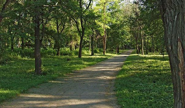 Парк имени Корнея Чуковского в Ростове-на-Дону: Парк культуры, Парк отдыха, Парк , Парк аттракционов,