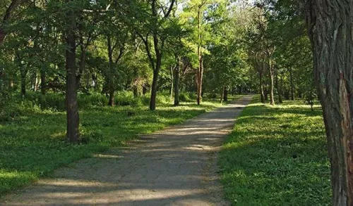 Парк имени Корнея Чуковского  в  Ростове-на-Дону