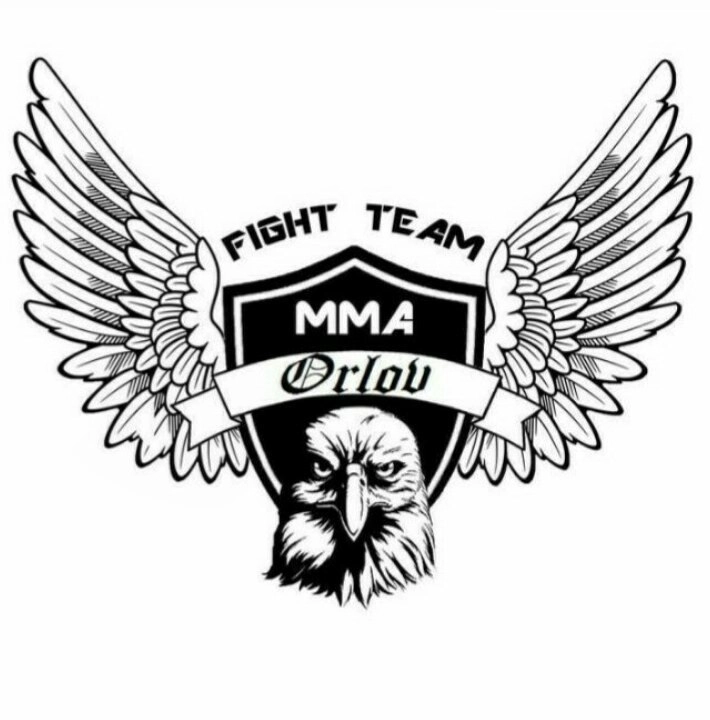 Клуб смешанных единоборств Orlov fight team  в  Ростове-на-Дону