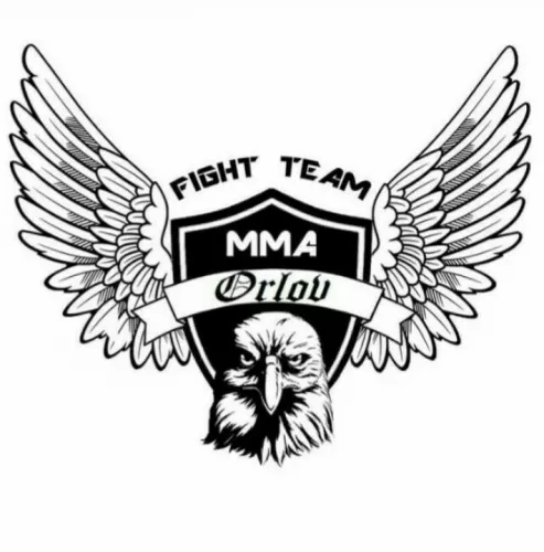 Клуб смешанных единоборств Orlov fight team в Ростове-на-Дону