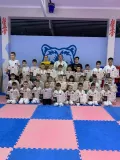 Миниатюра 3