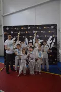 Миниатюра 4