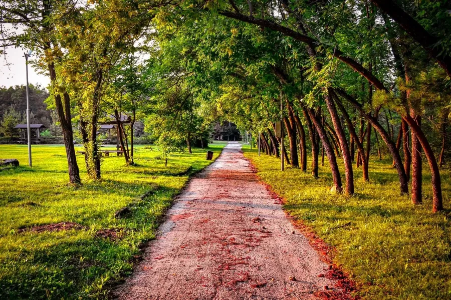 Парк Соловьиная Роща в Ростове-на-Дону: Парк,