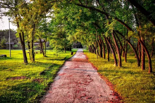 Парк Соловьиная Роща  в  Ростове-на-Дону
