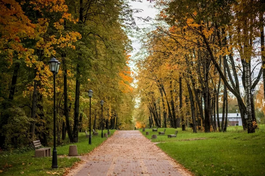 Парк Соловьиная Роща в Ростове-на-Дону: Парк,