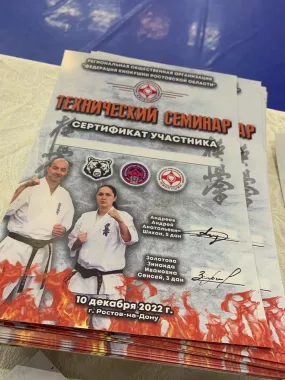 Ростовская Региональная Федерация Каратэ РРФСОО «ФКК Медведь» на ул.Петренко,2 