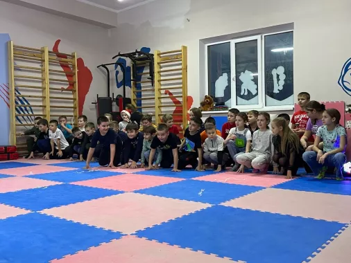Ростовская Региональная Федерация Каратэ РРФСОО «ФКК Медведь» на ул. 2я Дополнительная, 39/1а, ост. Соловушки