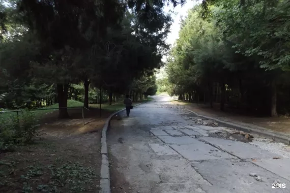"Южный федеральный университет, ботанический сад"