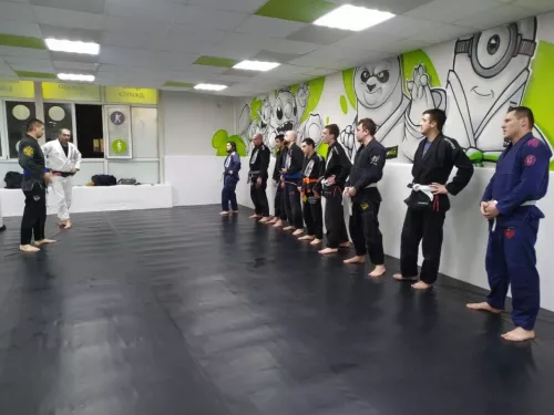 Секция единоборств: Бразильское джиу-джитсу на Содружества, 86  в  Ростове-на-Дону