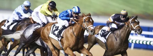 Скачки Dubai racing club в Дубаи