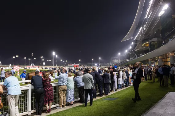  Скачки "Dubai racing club"