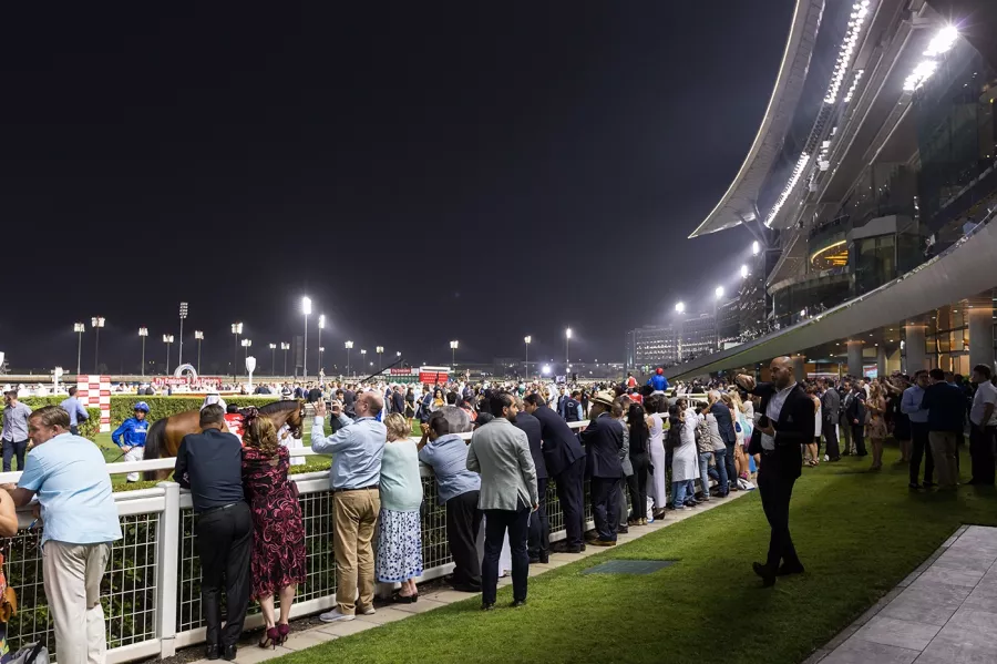 Скачки Dubai racing club в Дубаи: Скачки , Ипподром , Ставки , Забег , Гоночный комплекс ,
