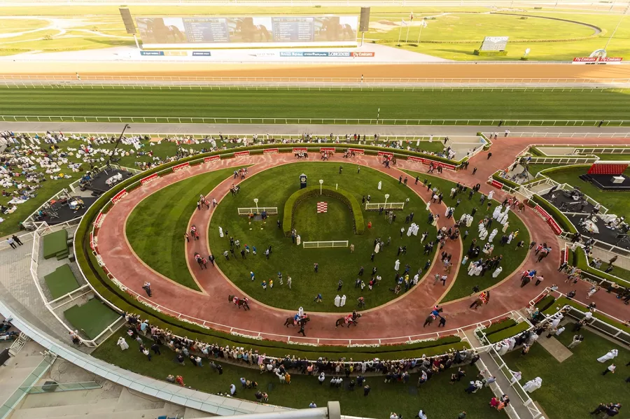 Скачки Dubai racing club в Дубаи: Скачки , Ипподром , Ставки , Забег , Гоночный комплекс ,
