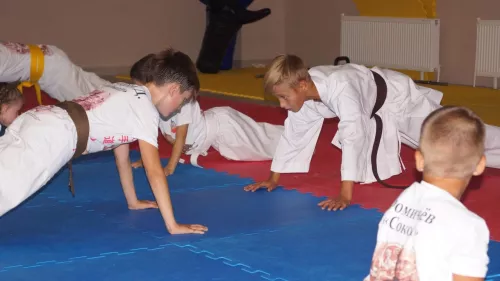 Клуб карате Сокол на ул. Жданова, 2/7 в Ростове-на-Дону