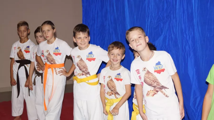 Клуб карате Сокол на ул. Жданова, 2/7 в Ростове-на-Дону: Каратэ, Развиваться,