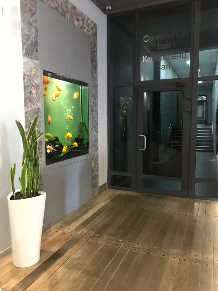 Массажный салон "BodyDream"