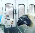 Миниатюра 10