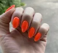 Миниатюра 13