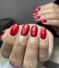 Миниатюра 13