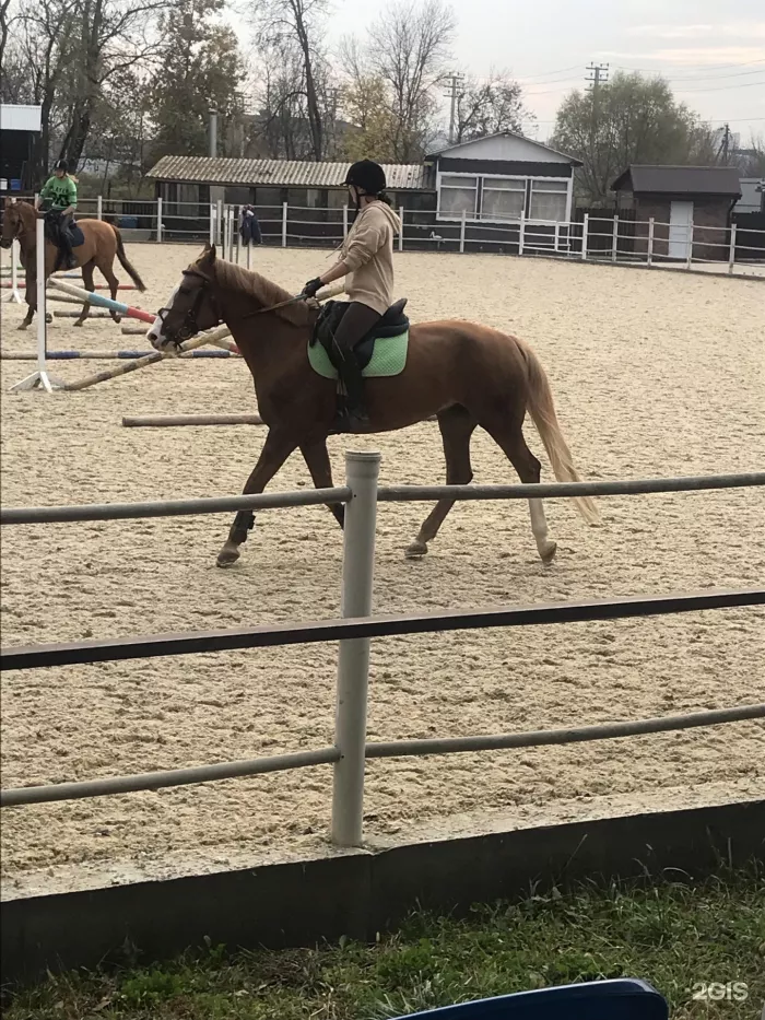 "Клуб верховой езды Особый мир на Горных"