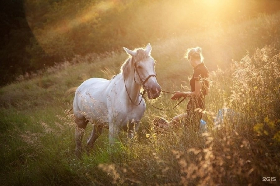 Конный клуб Horse Travel в Ростове-на-Дону: Конный клуб, Конные прогулки, Лошади, Оздоровительная езда,