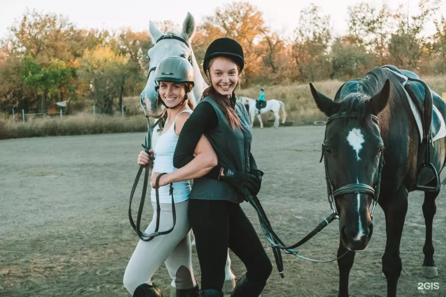 Конный клуб Horse Travel в Ростове-на-Дону: Конный клуб, Конные прогулки, Лошади, Оздоровительная езда,