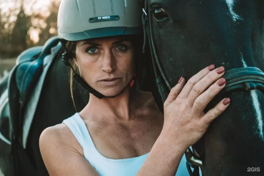 Конный клуб Horse Travel в Ростове-на-Дону: Конный клуб, Конные прогулки, Лошади, Оздоровительная езда,