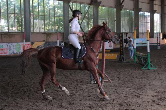 Конный клуб "Алан"