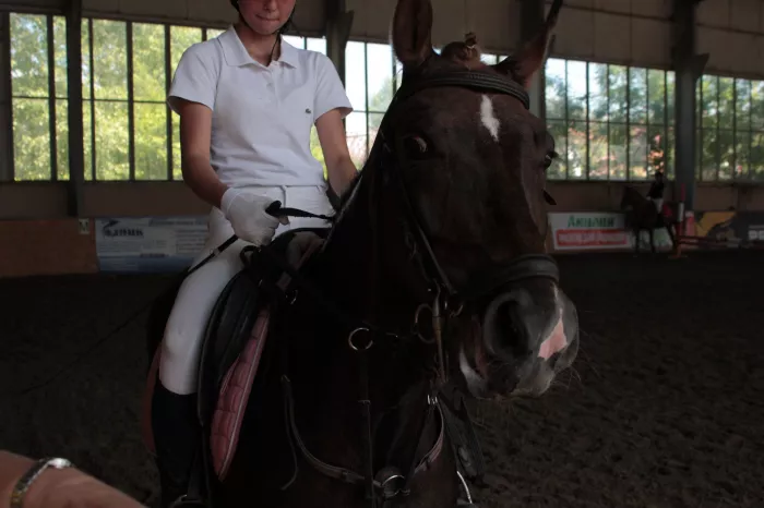 Конный клуб "Алан"